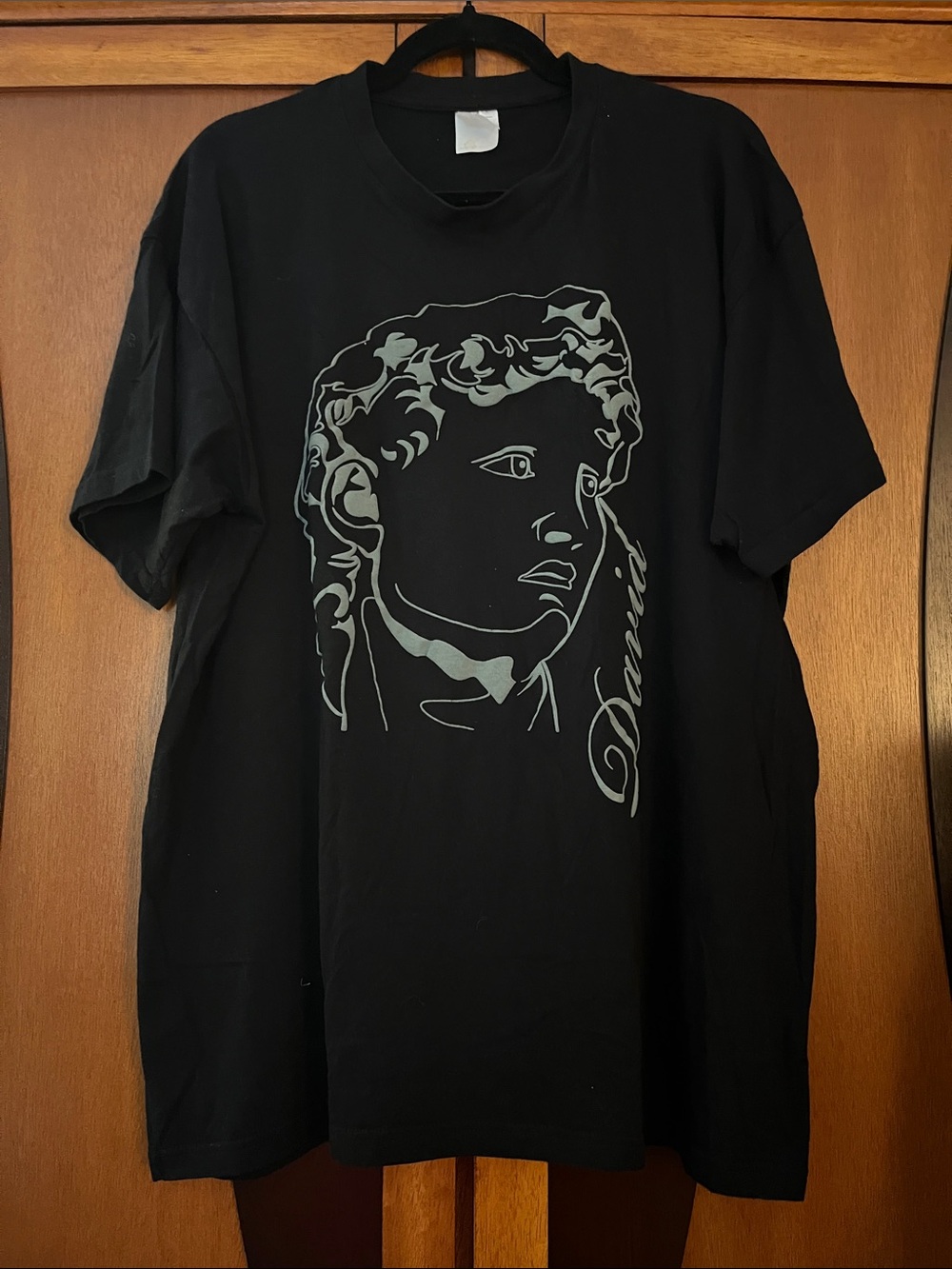 #45 - Black Men’s Graphic T-Shirt w/Blue Sculpted Face of The David Sculpture